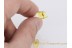 Superb SILVANIDAE Flat Bark Beetle in BALTIC AMBER 1303
