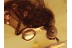 THEREVIDAE Stilleto Fly Inclusion in BALTIC AMBER 1335