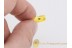 LEPIDOPTERA Moth Inclusion in BALTIC AMBER 1368