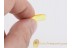 COCCOIDEA Very small Scale Insect BALTIC AMBER 1375