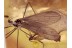 PHYLIDOREA Crane Fly & Sciarid Gnat in BALTIC AMBER 1416