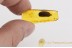 LEPIDOPTERA Huge CASE & Larva Climbing Out in BALTIC AMBER 1427