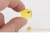 LEPIDOPTERA Moth Fossil Insect BALTIC AMBER 1461