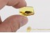Huge LEPIDOPTERA Moth Inclusion in BALTIC AMBER 1479