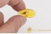 LEPIDOPTERA Spread Wings MOTH in BALTIC AMBER 1454