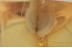 GASTROPODA Snail Shell Incliusion in BALTIC AMBER 1487