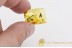 LEPIDOPTERA Great Moth Fossil Insect in BALTIC AMBER 1521