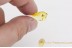 EMPIDIDAE Spread Wings Dance Fly in BALTIC AMBER 1534