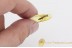 XYLOPHAGIDAE  Large Rare Fly Inclusion in BALTIC AMBER  1531