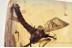 TANYDERIDAE Macrochile Primitive Crane Fly in BALTIC AMBER 1533