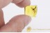 TANYDERIDAE Macrochile Primitive Crane Fly in BALTIC AMBER 1533