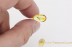 LIMONIIDAE Dicranomyia Great Crane Fly in BALTIC AMBER 1543