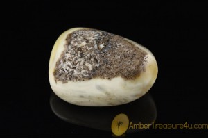 UNIQUE COLOR Genuine BALTIC AMBER Stone ST16