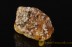 Fossil BALANID on Huge BALTIC AMBER Sea Stone ST26