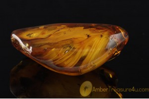 UNIQUE COLOR Genuine BALTIC AMBER Stone with Several Fossil Inclusions 31g ST15