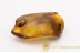 UNIQUE COLOR Genuine BALTIC AMBER Stone with Several Fossil Inclusions 31g ST15