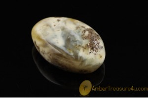 UNIQUE BLUISH COLOR Genuine BALTIC AMBER Stone ST17