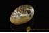 UNIQUE BLUISH COLOR Genuine BALTIC AMBER Stone ST17