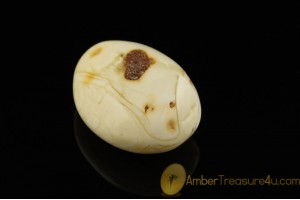 UNIQUE COLOR Genuine BALTIC AMBER Stone ST19