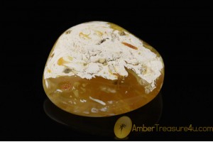 UNIQUE COLOR Genuine BALTIC AMBER Stone ST20