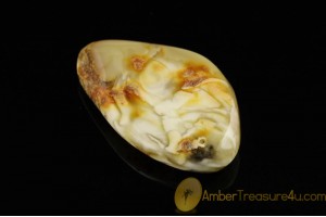 UNIQUE COLOR Genuine BALTIC AMBER Stone ST21