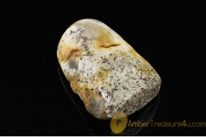UNIQUE COLOR Genuine BALTIC AMBER Stone ST24