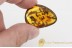 SWARM of 30 ANTS Fighting Inclusion BALTIC AMBER 1597
