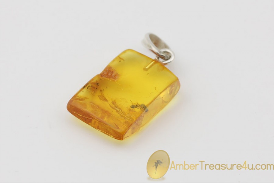 Genuine BALTIC AMBER Silver Pendant w Fossil Inclusion - ANT