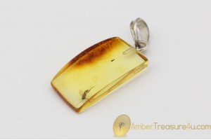 Genuine BALTIC AMBER Silver Pendant w Fossil Inclusion - GNAT