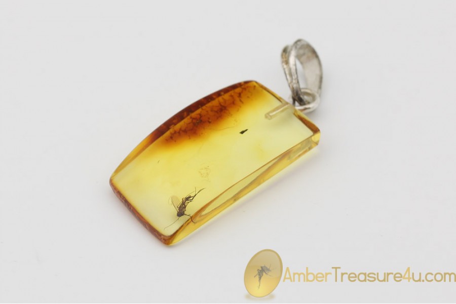 Genuine BALTIC AMBER Silver Pendant w Fossil Inclusion - GNAT