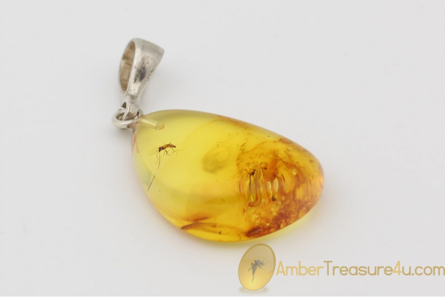 Genuine BALTIC AMBER Silver Pendant w Fossil Inclusions - 2 GNATS