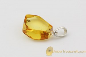 Genuine BALTIC AMBER Silver Pendant w Fossil Inclusion - FUNGUS GNAT