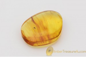 Genuine Polished BALTIC AMBER Stone w Inclusion - FLY