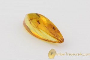 Genuine Polished BALTIC AMBER Stone w Inclusions - 2 FLIES