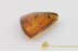 Genuine Polished BALTIC AMBER Stone w Inclusions - 4 FLIES