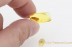 PYROCHROIDAE Beetle Larvae Inclusion in BALTIC AMBER 1612