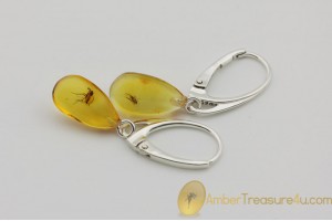 Genuine BALTIC AMBER Silver Earrings w Fossil Inclusions