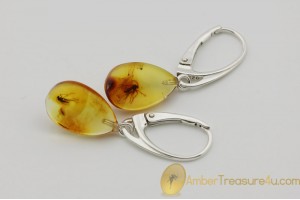 Genuine BALTIC AMBER Silver Earrings w Fossil Inclusions