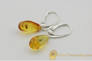 Genuine BALTIC AMBER Silver Earrings w Fossil Inclusions