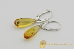 Genuine BALTIC AMBER Silver Earrings w Fossil Inclusions