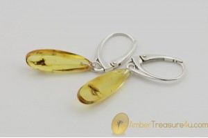 Genuine BALTIC AMBER Silver Earrings w Fossil Inclusions