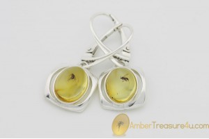 Genuine BALTIC AMBER Silver Earrings w Fossil Inclusions