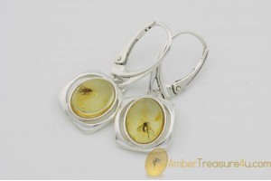 Genuine BALTIC AMBER Silver Earrings w Fossil Inclusions