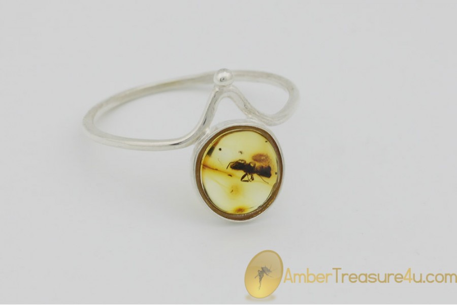 Genuine BALTIC AMBER Silver Ring 8.5 - 18.5mm w Fossil Inclusion - ANT Genuine BALTIC AMBER Silver Ring 8.5 - 18.5mm w Fossil Inclusion - ANT