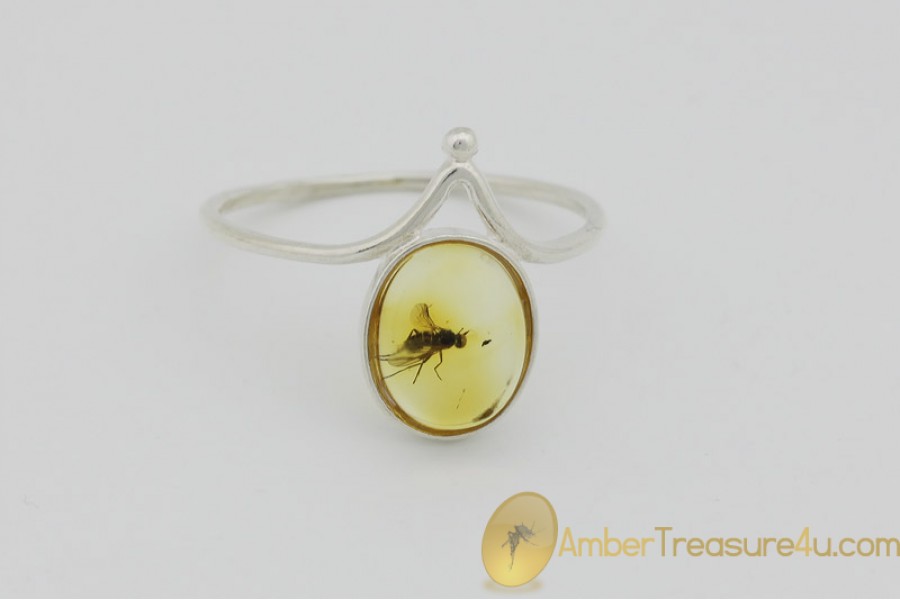 Genuine BALTIC AMBER Silver Ring 7.25 - 17.5mm w Fossil Inclusion - LONG LEGGED FLY
