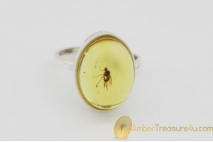 Genuine BALTIC AMBER Silver Ring 6.5 - 17mm w Fossil Inclusion - LONG LEGGED FLY