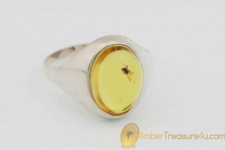 Genuine BALTIC AMBER Silver Ring 9 - 19mm w Fossil Inclusion - FLY Genuine BALTIC AMBER Silver Ring 9 - 19mm w Fossil Inclusion - FLY