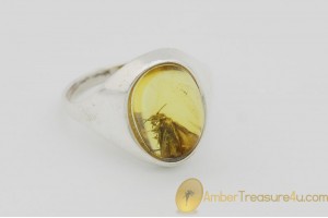 Genuine BALTIC AMBER Silver Ring 8.5 - 18.5mm w Fossil Inclusion - CADDISFLY