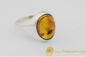 Genuine BALTIC AMBER Silver Ring 8.5 - 18.5mm w Fossil Inclusion - LONG LEGGED FLY