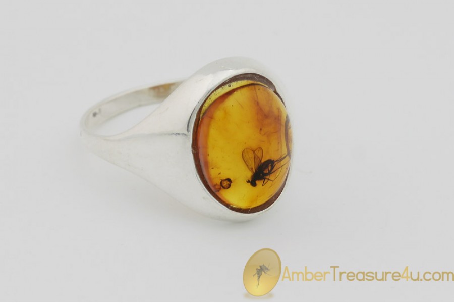 Genuine BALTIC AMBER Silver Ring 8.5 - 18.5mm w Fossil Inclusion - LONG LEGGED FLY